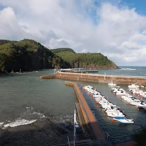 Atsedenportua Arminza